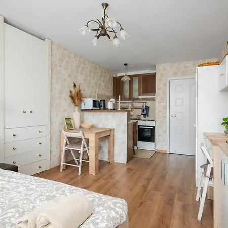 Appartement Cozy Studio In Centre *