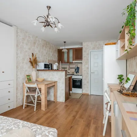 Cozy Studio In Centre Lejlighed *