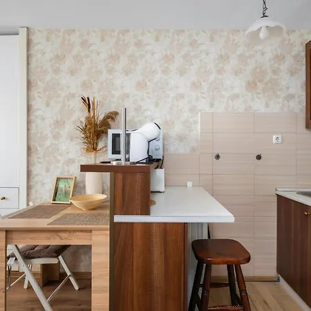 Cozy Studio In Centre Lejlighed *